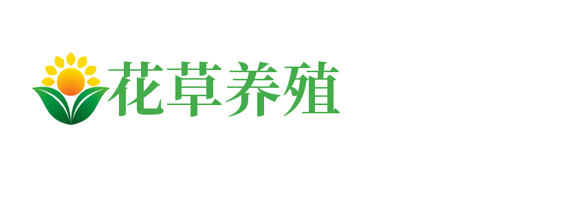 天津市和平区括晚惊够软件设计有限责任公司